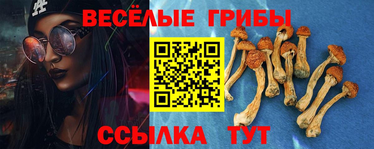 Галлюциногенные грибы мицелий  Галлюциногенные грибы Magic Shrooms  наркошоп  Магнитогорск  Вход с VPN 