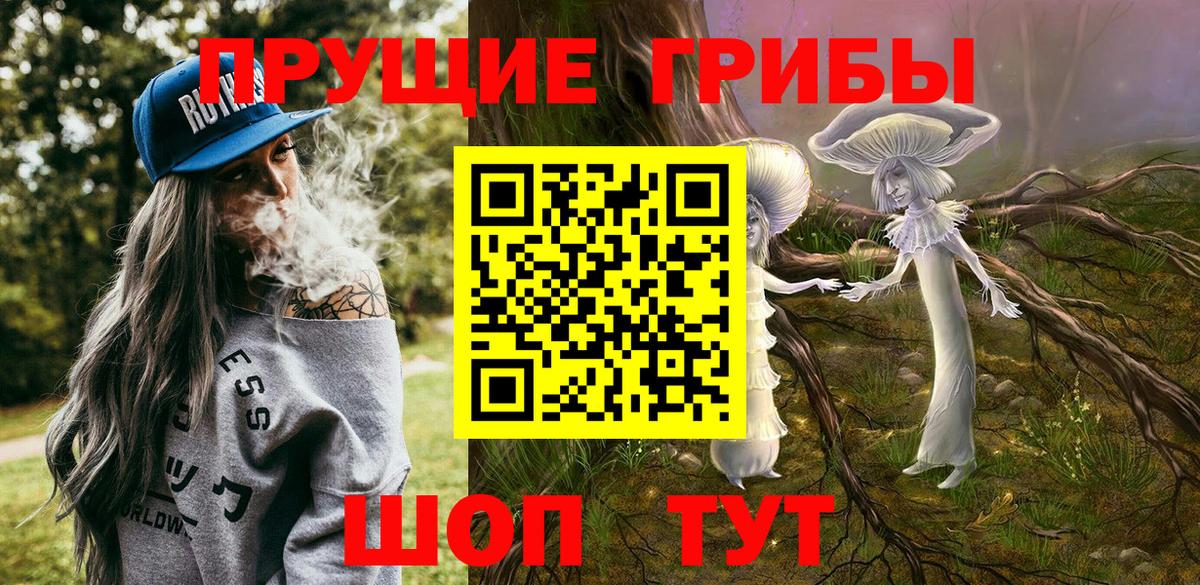 Псилоцибиновые грибы Psilocybine cubensis Магнитогорск